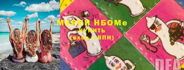 сатива Гусь-Хрустальный