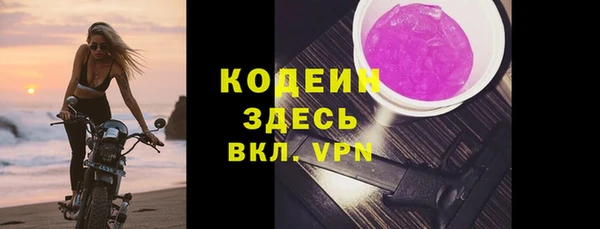 ешки Гусев