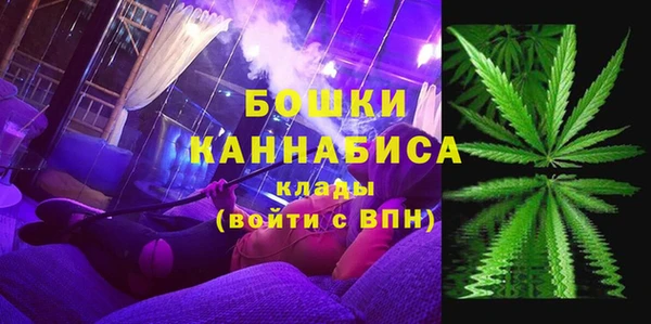 ешки Гусев