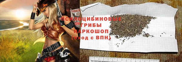 сатива Гусь-Хрустальный