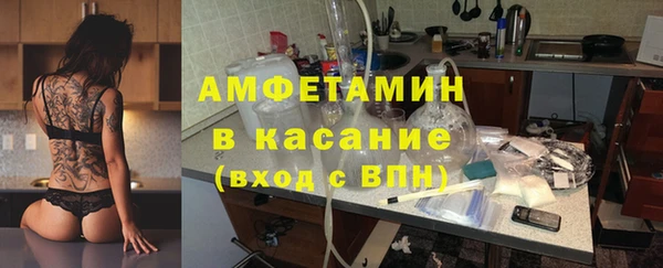 сатива Гусь-Хрустальный