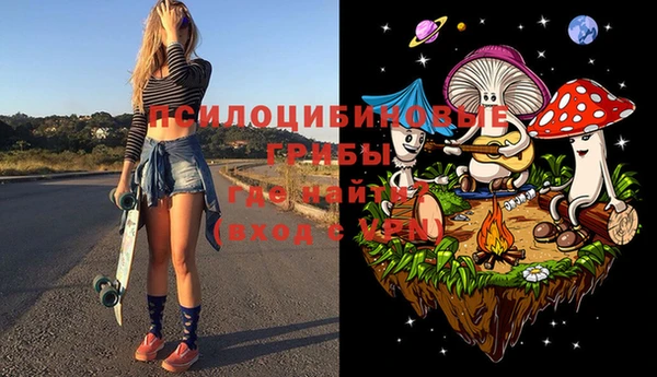сатива Гусь-Хрустальный