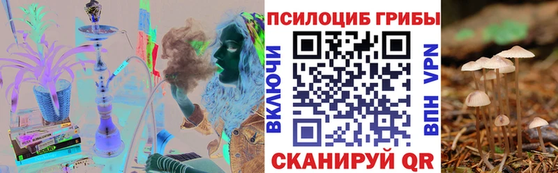 где купить   Тайшет  Галлюциногенные грибы GOLDEN TEACHER 