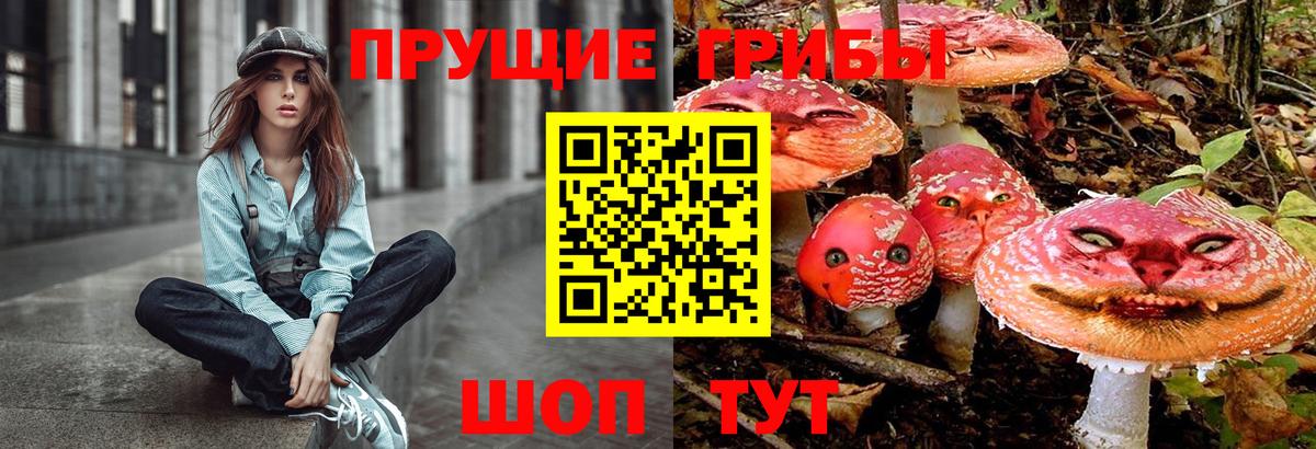 Псилоцибиновые грибы MAGIC MUSHROOMS Тайшет